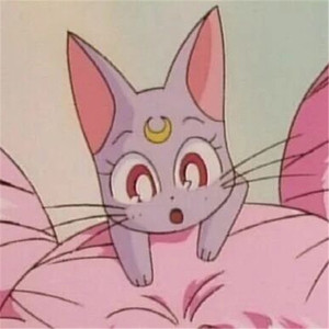 快拨出我是你母亲的歌曲播放电影
