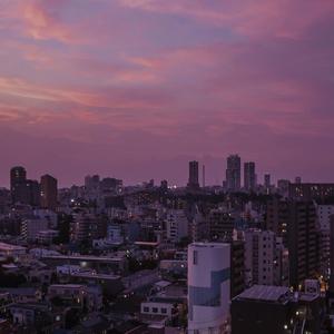 快拨出我是你母亲的歌曲播放电影
